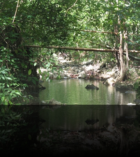 Malumpati-Springs-09